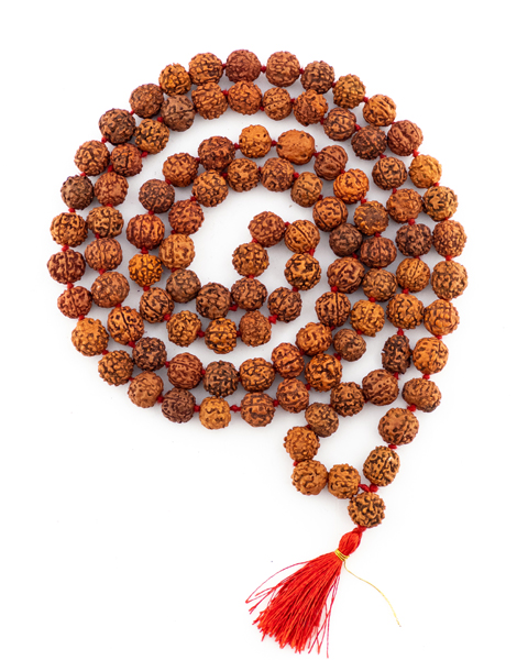 رودراکشا اصل – دانه مقدس آرامش و انرژی معنوی