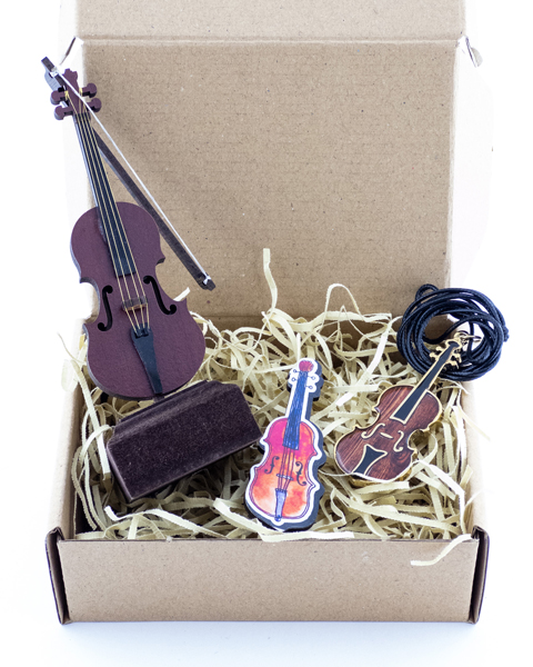 پک هدیه ویژه عاشقان موسیقی، ساز ویولن